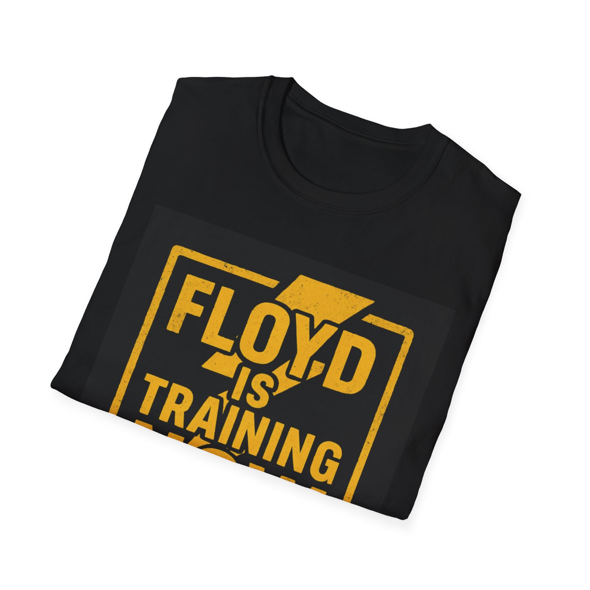 "Floyd is Training Now" Motivational Tee - Image 11