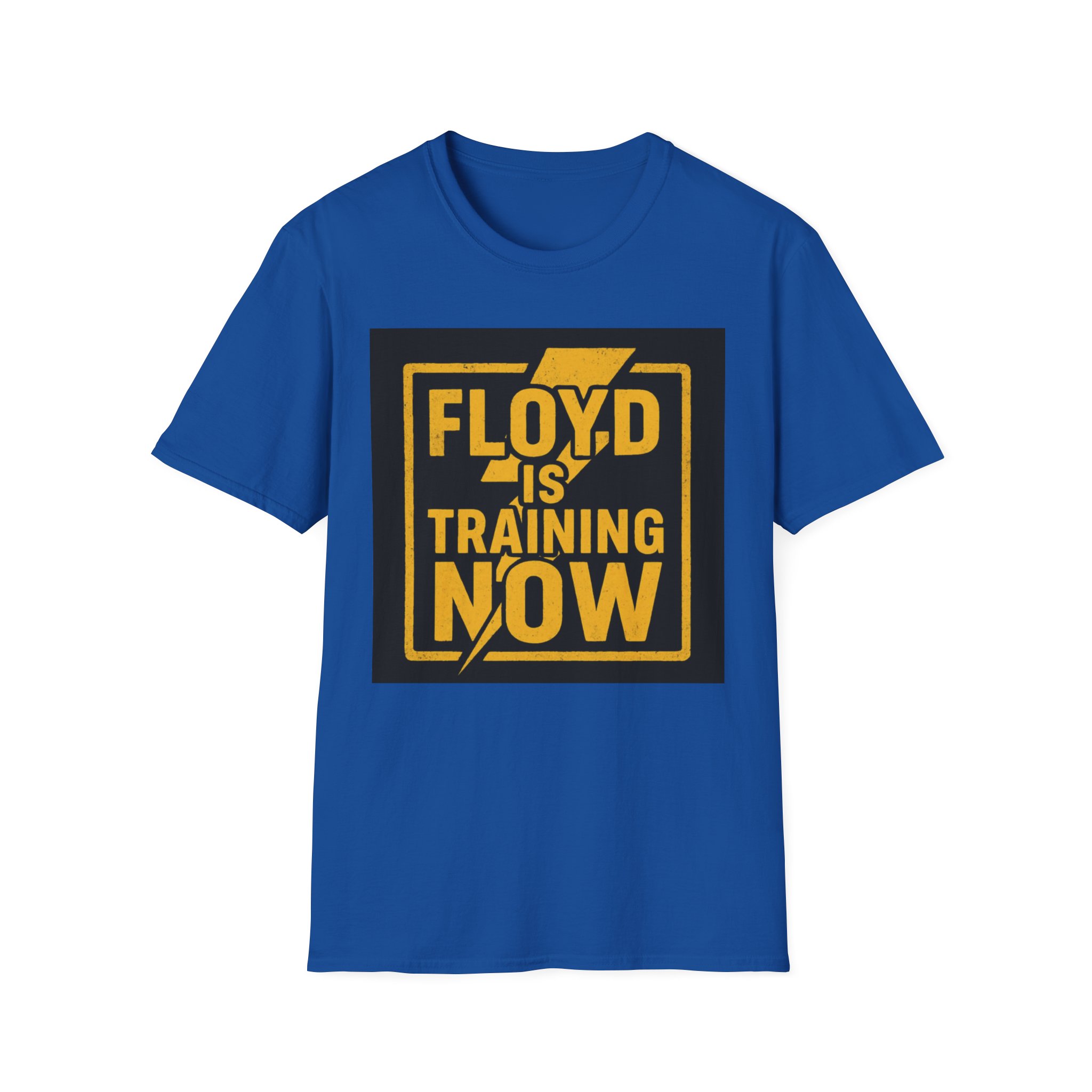 "Floyd is Training Now" Motivational Tee - Image 16